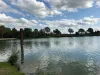 Moeke moren