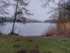 Tijningenplas - Wielkamp