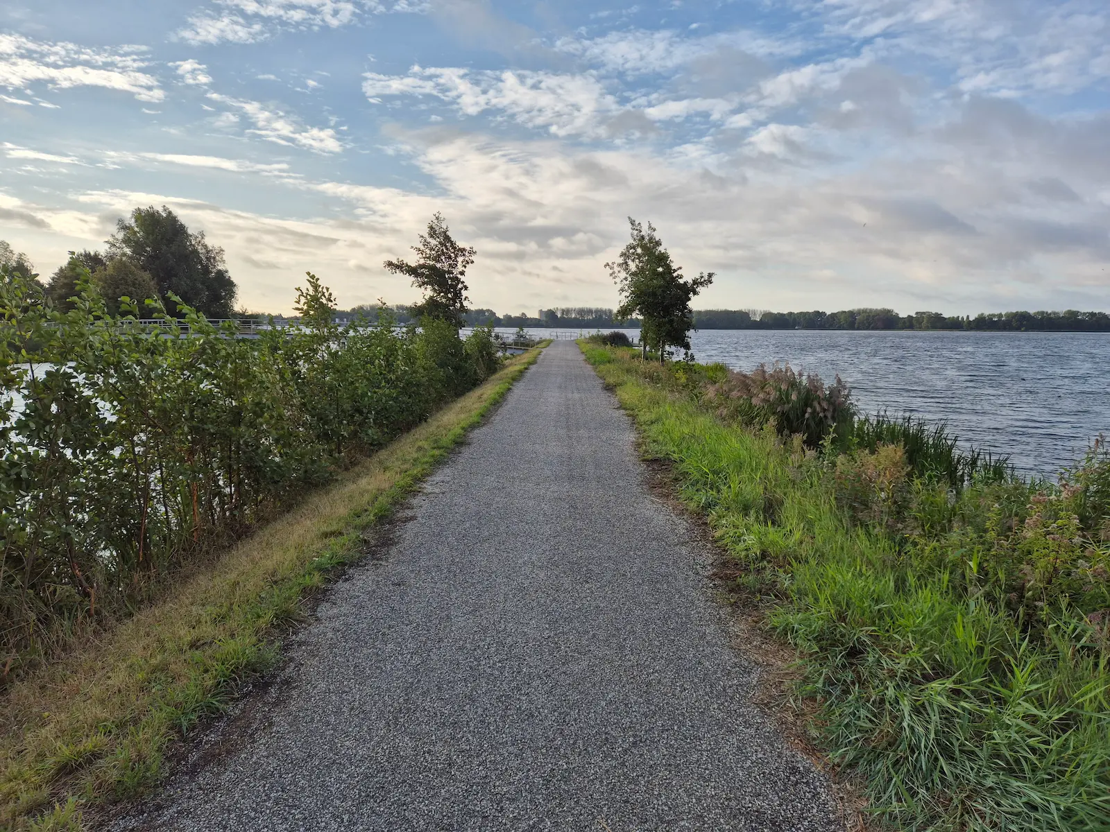 Vogeluitkijk