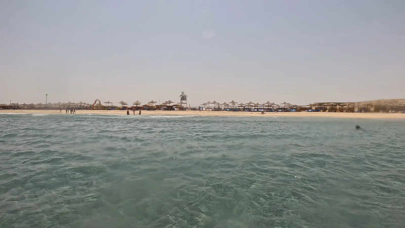 Abu dabab Bay Egypte (1)