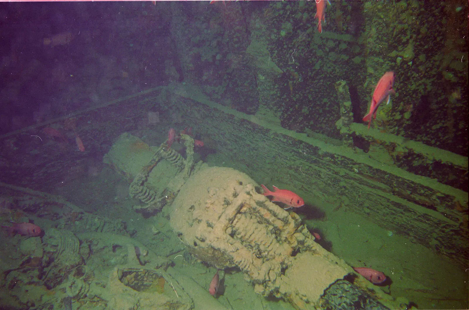 Thistlegorm (1)