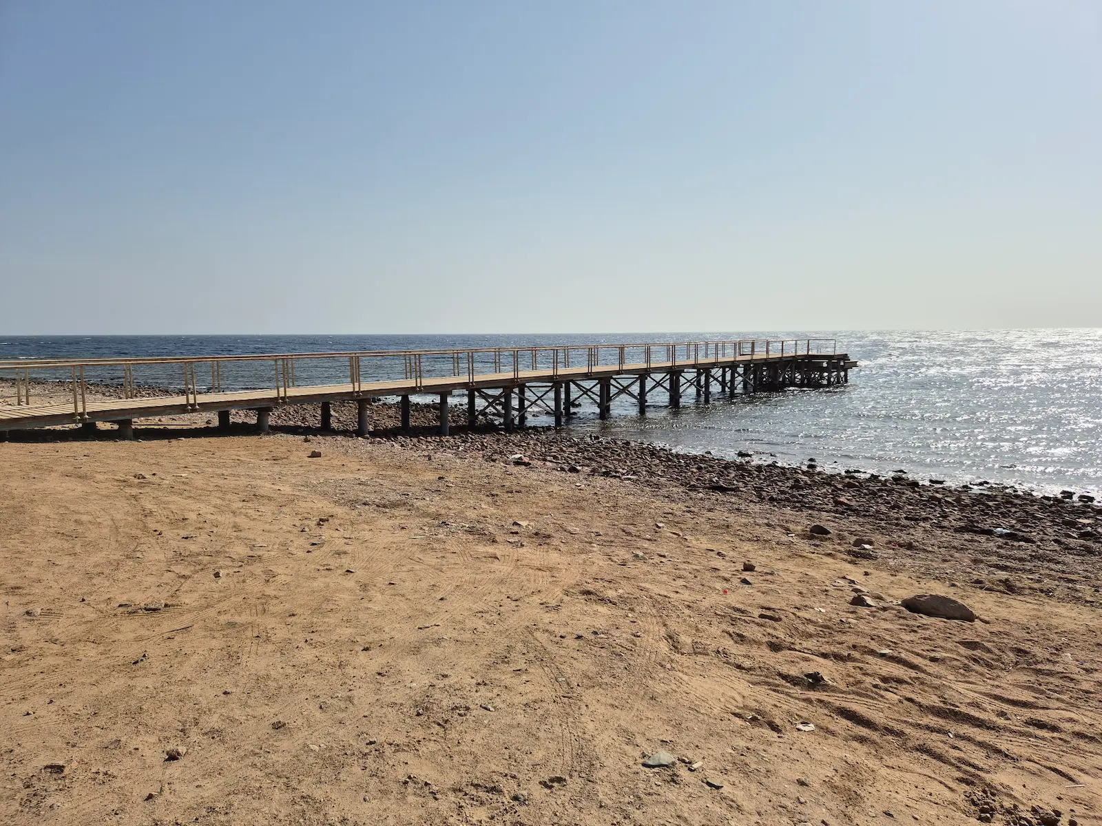 Tiger reef Dahab (3)