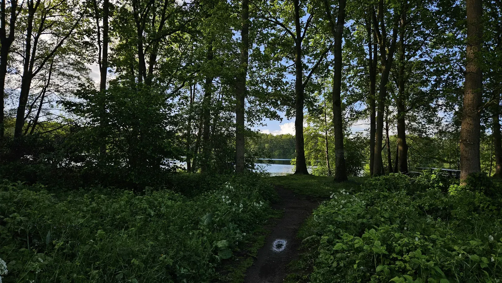 Engelgaarde   Ruinerwold (1)