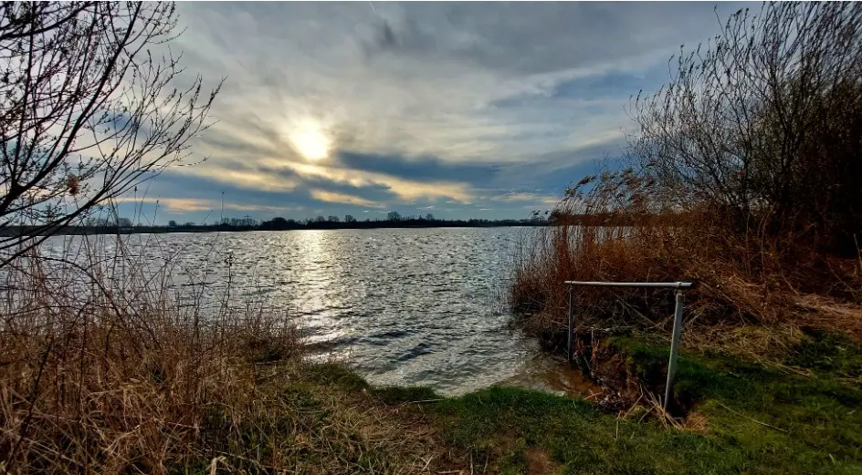 Kraaijebergseplas 8 Wittebrug linden 2