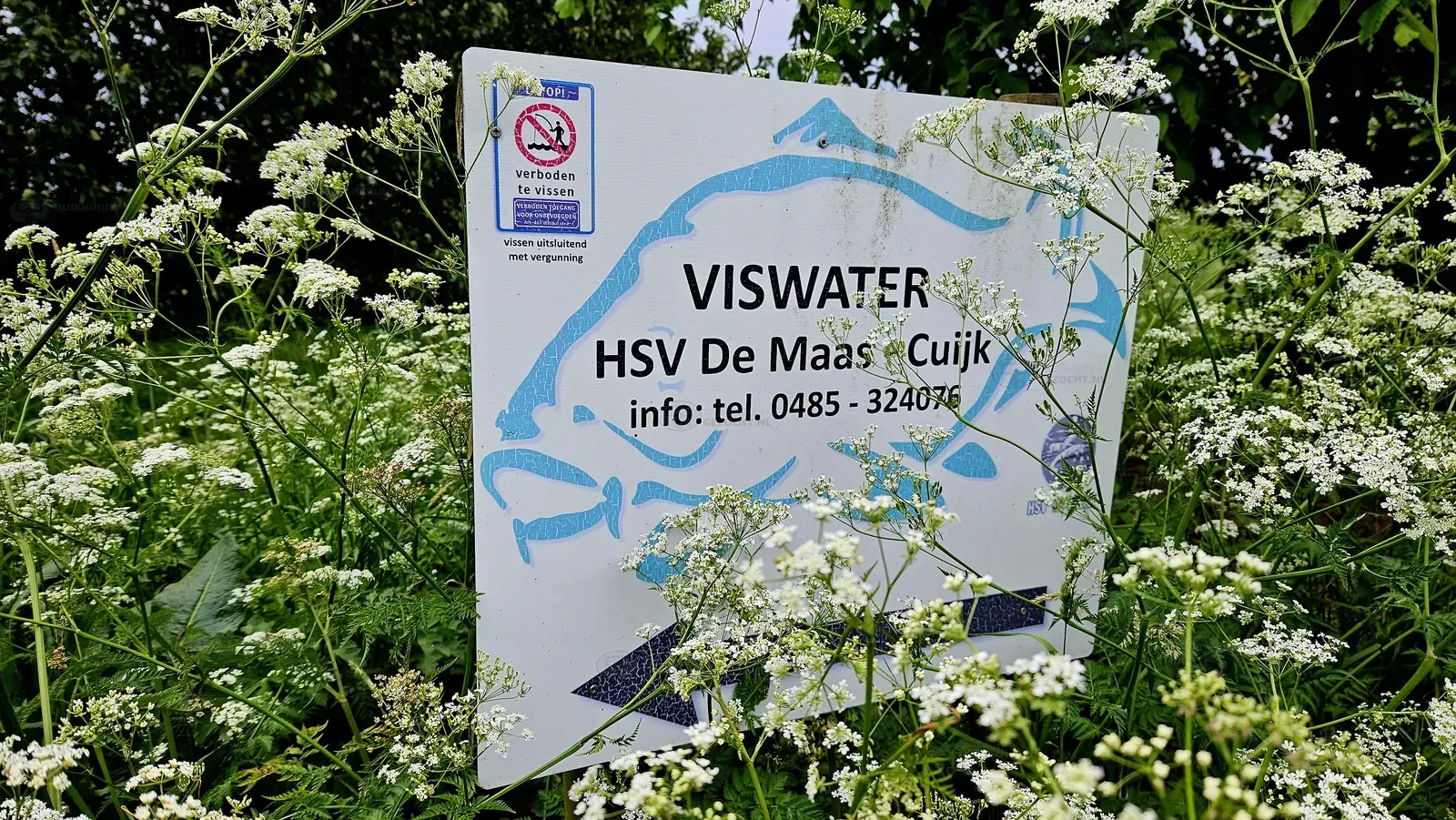 Kraaijenbergse plas 9   Raamweg (5)