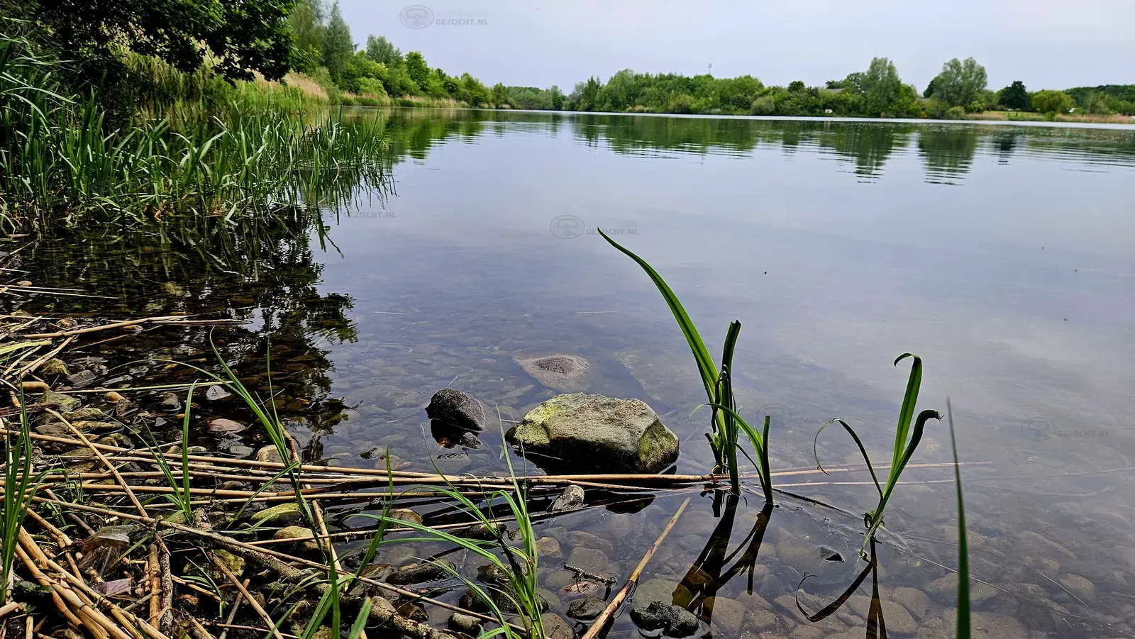 Kraaijenbergse plas 9   Raamweg (6)
