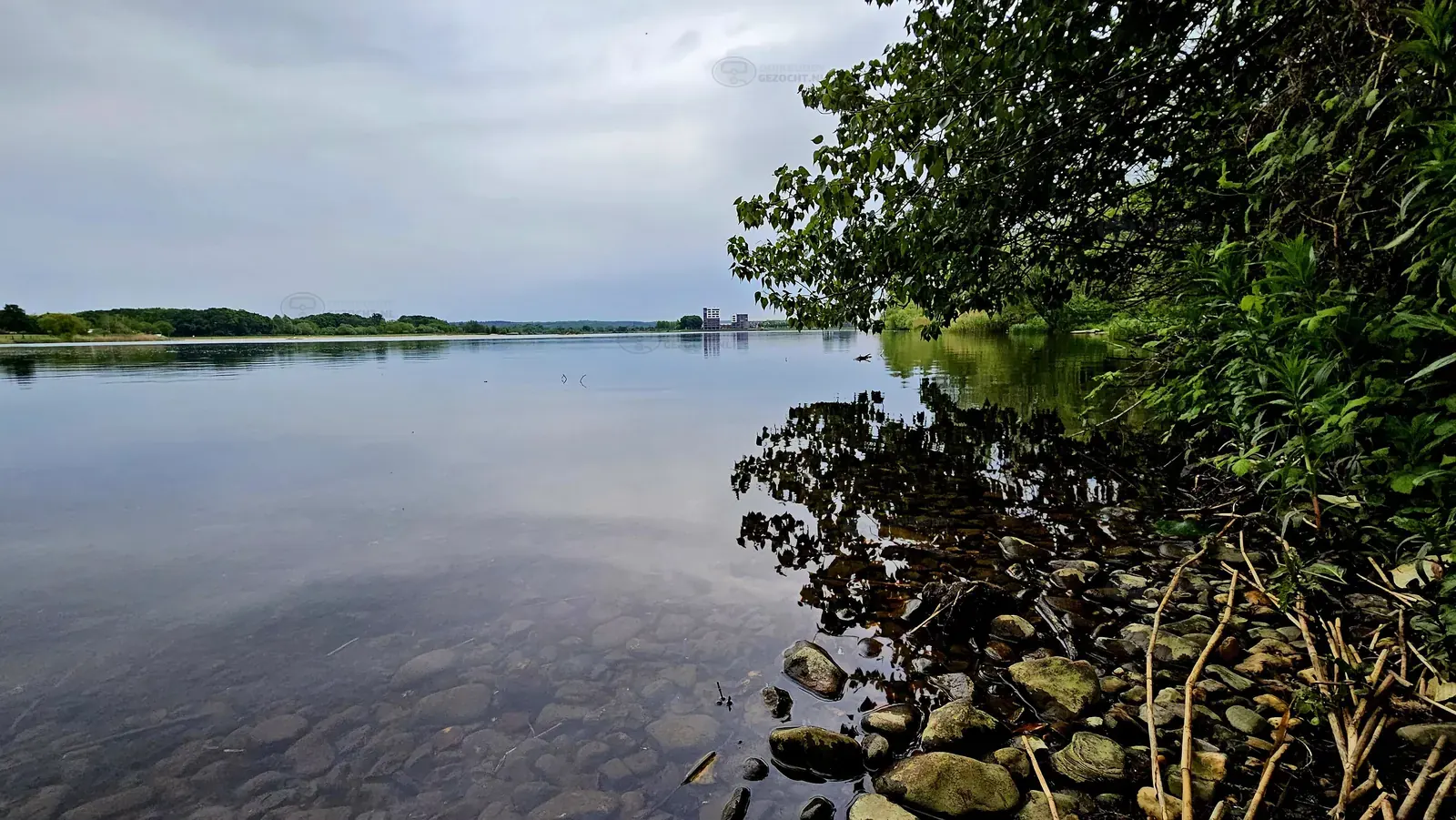 Kraaijenbergse plas 9   Raamweg (9)