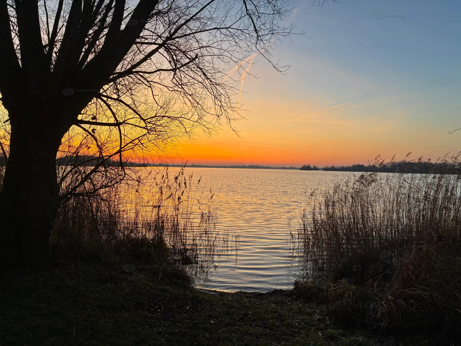 Kraaijenbergseplas 4  lommerstraat (3)