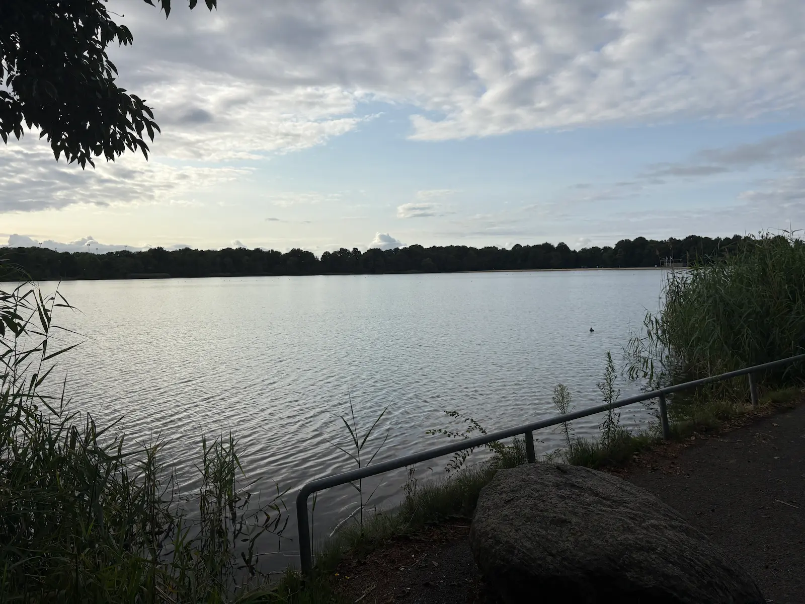 Oosterplas (3)