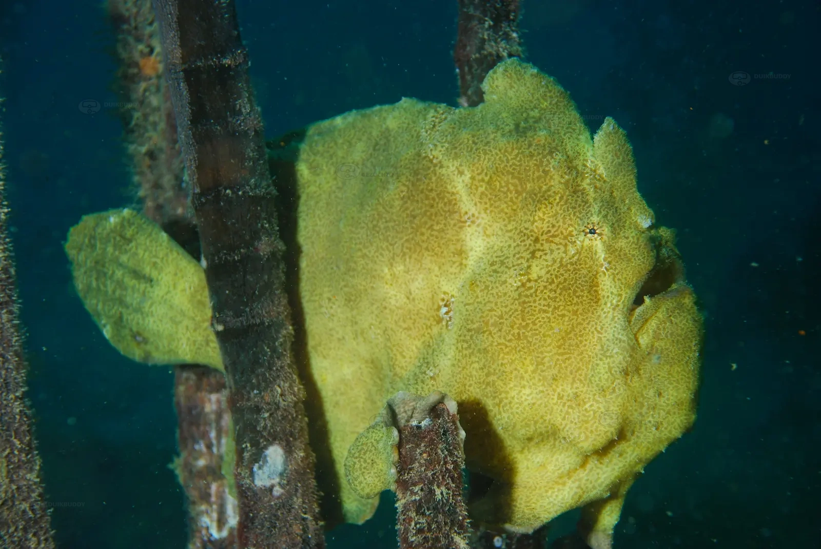 Seaventures Oil Rig 003