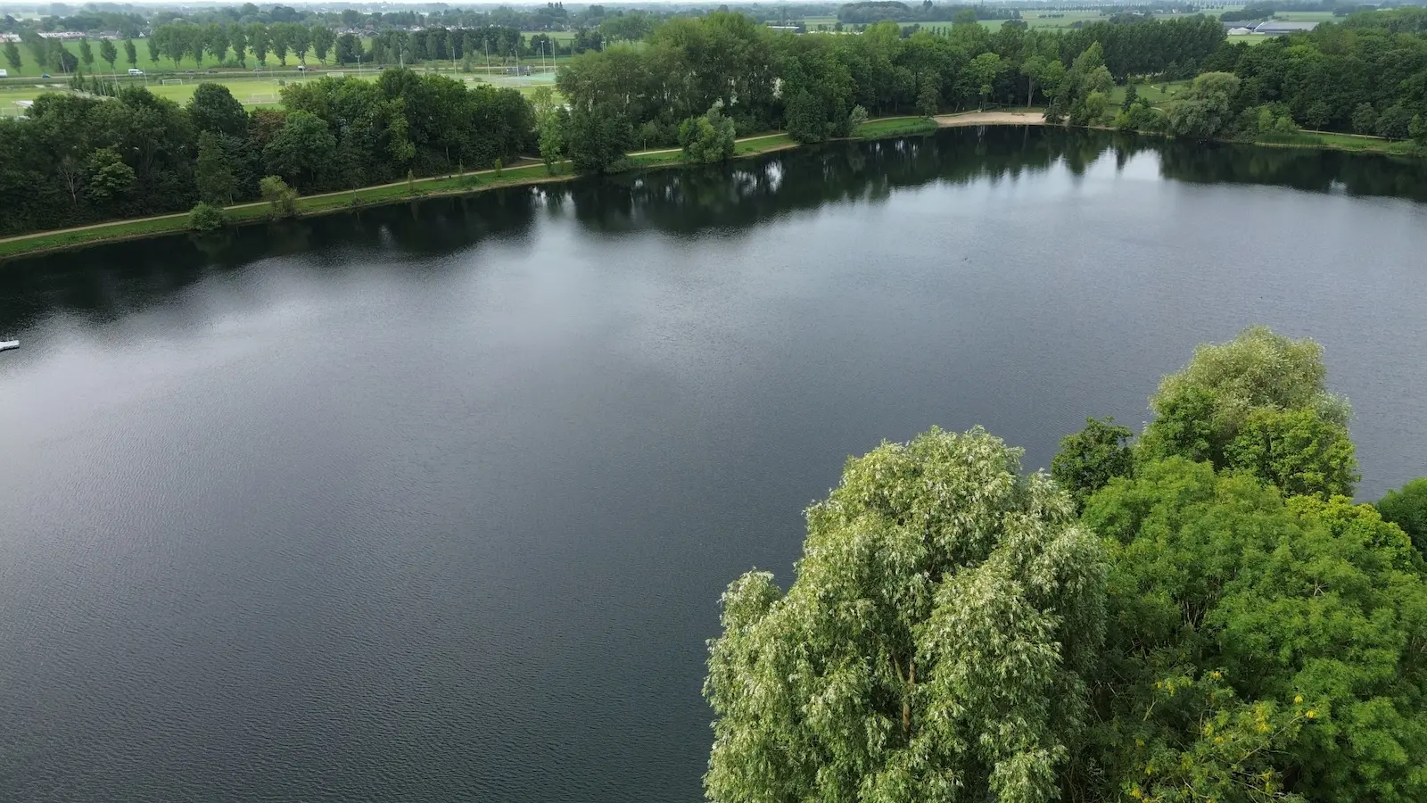 Tijningenplas (1)