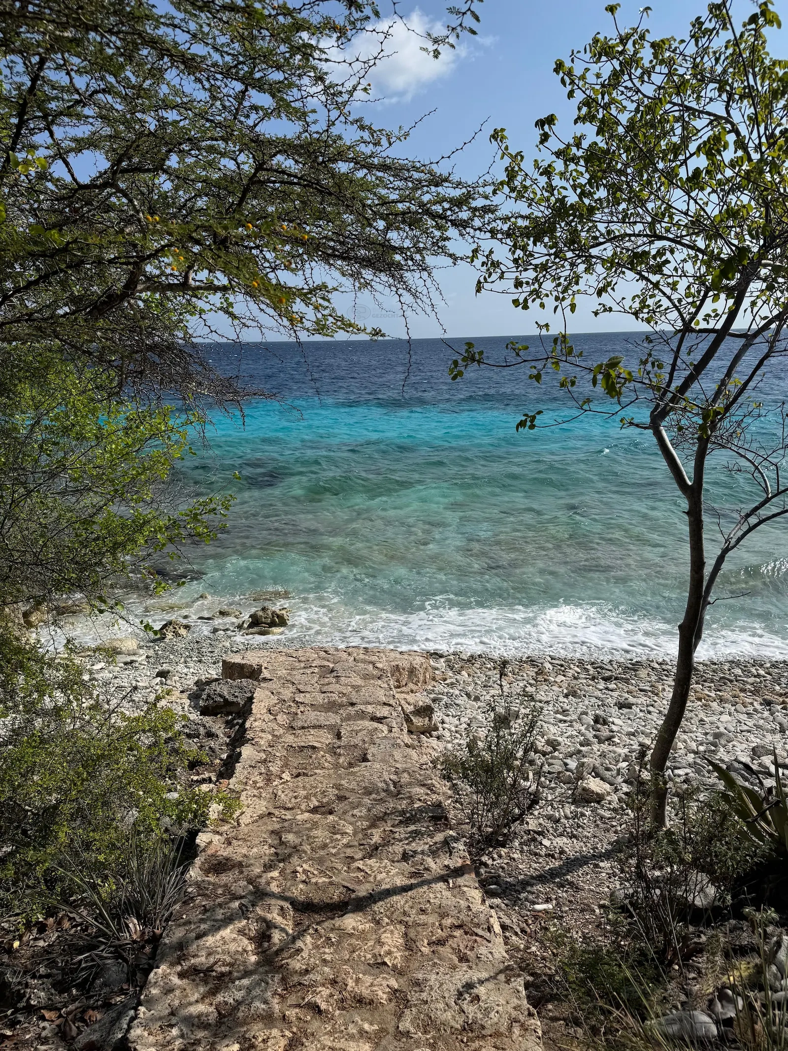 Weber’s Joy rifleven